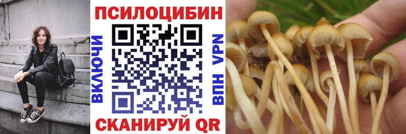 Псилоцибиновые грибы Cubensis  МЕГА ONION  Наро-Фоминск 