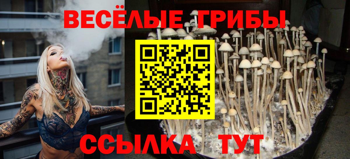 Галлюциногенные грибы MAGIC MUSHROOMS  Наро-Фоминск 