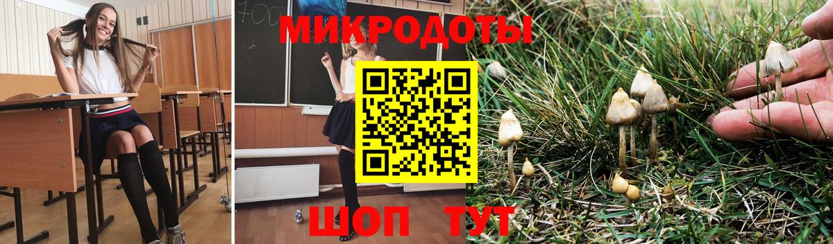 Галлюциногенные грибы Psilocybe Наро-Фоминск