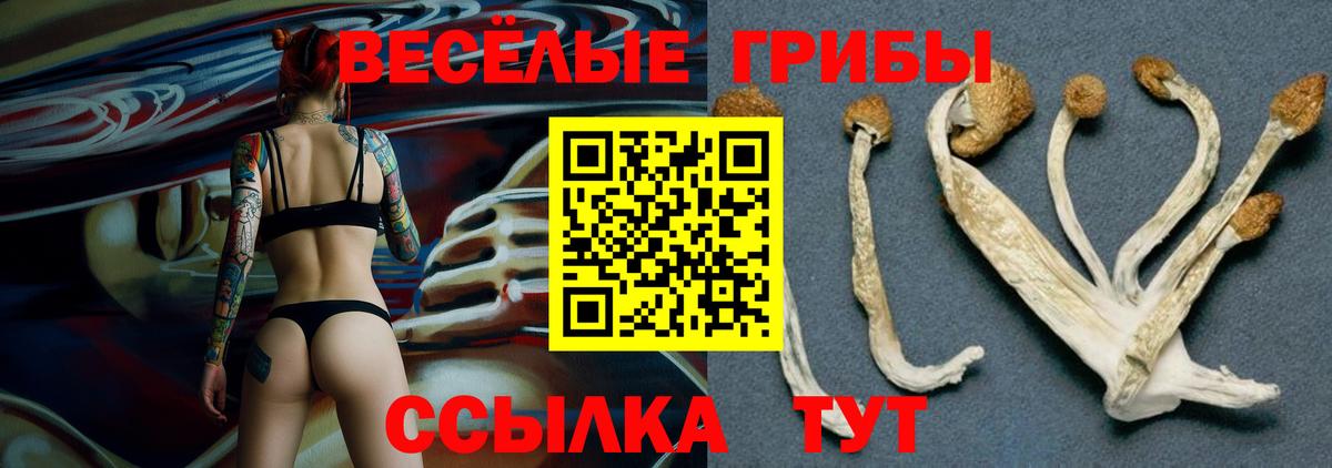 Наро-Фоминск  Галлюциногенные грибы Magic Shrooms  Вход с VPN  Галлюциногенные грибы прущие грибы 